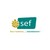 SEF Scierie logo
