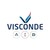 Visconde Construtora logo