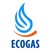 Ecogas logo