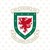 Football Association of Wales logo