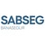 Banasegur logo