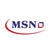 MSN Laboratories - API Division Logo