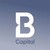 BANOR CAPITAL logo