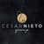 Cesar Nieto Group logo