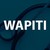 Logo di Wapiti Medical Staffing