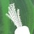 Riverford Organic Farmers logo