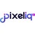 Pixel IQ - CRM CEE logo