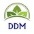 DDM logo