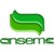 Anseme Spa logo