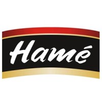 Hame Logo