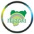 NESREA logo
