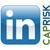 caprisk development logo
