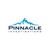 Pinnacle Investigations logo