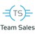 Team Sales France logo