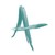 AMAAN Indonesia logo