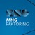 MNG FAKTORİNG logo