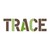 TRACE Ingénierie Environnement logo