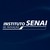 Instituto SENAI de Inovação logo