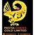 Prestea Sankofa Gold Ltd logo