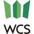 Winning Consortium Simandou logo