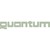 Quantum International CS logo