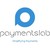Payments Lab logo