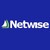 Netwise: Excellence in Enterprise CRM and Useful AI logo