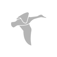 Weyergans High Care AG logo