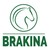 BRAKINA logo