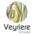 VEYRIERE Groupe logo