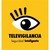 Televigilancia - Seguridad Inteligente Logo