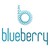 Blueberry logo