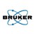 Bruker BioSpin logo
