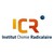 Institute of Radical Chemistry ICR logo