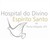Divino Espírito Santo Hospital logo