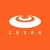 CESAR logo