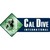Cal Dive International logo