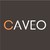 CAVEO CONSULTING logo