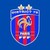 District de Paris de Football logo