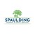 Spaulding Academy & Family Services logo