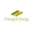 Primegrid Energy logo