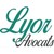 LYOR AVOCATS logo