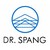 Dr. Spang Ingenieurgesellschaft logo