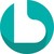 Brayden logo