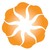 Arise Investments and Capital Pvt. Ltd. logo