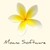 Moana Software logo