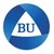 백석대학교 logo