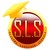 safwa language schools logo