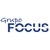 Grupo Focus Plásticos logo