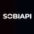 SoBiapi logo